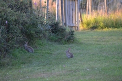 DSC_0511_20120806_201040