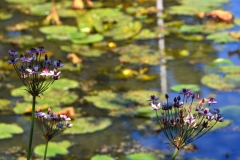 Bild-210