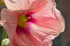 DSC_0743_20120809_123650