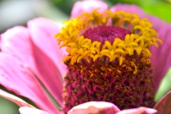 DSC_0789_20120809_125336