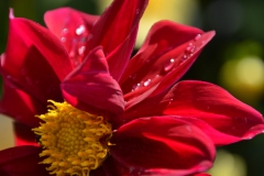 DSC_0792_20120809_125432